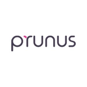 Shenzhen PRUNUS Medical Co Ltd